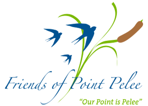Friends of Point Pelee